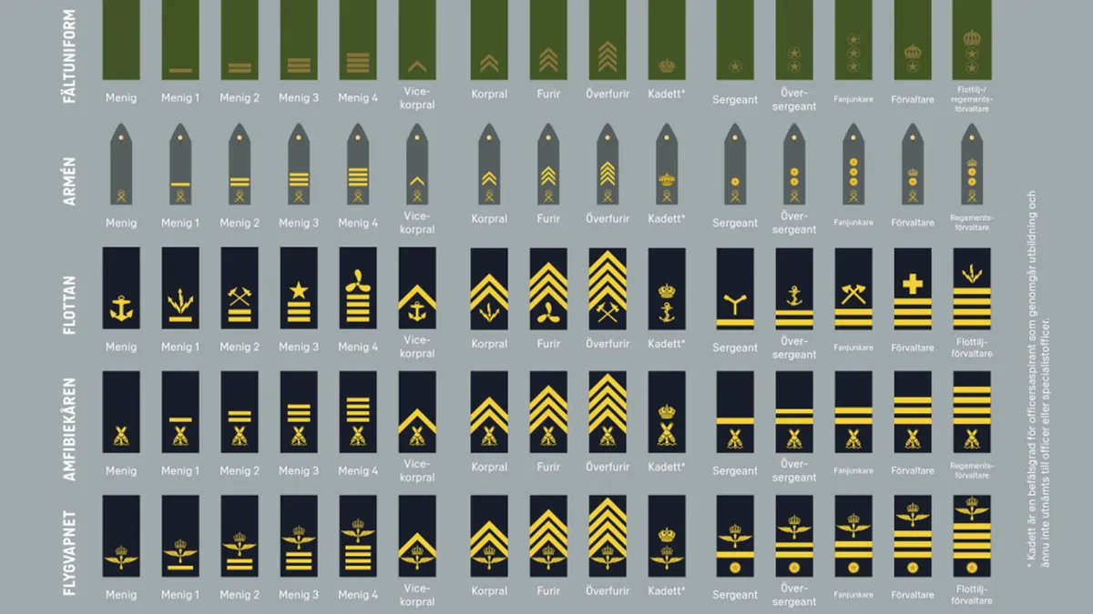 Militära grader i Sverige, hela listan över Försvarsmaktens rangordning